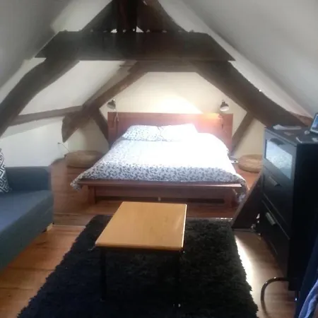 Ubytování v soukromí Belle En Centre Ville De
